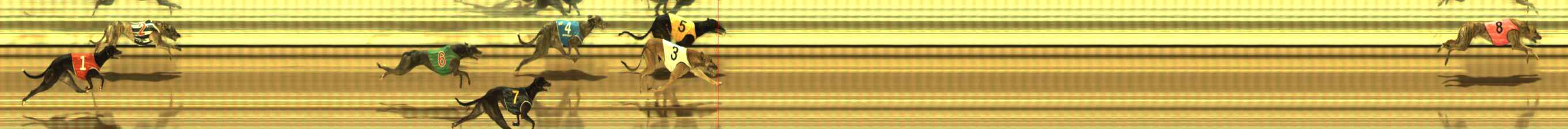 Race result finish photo